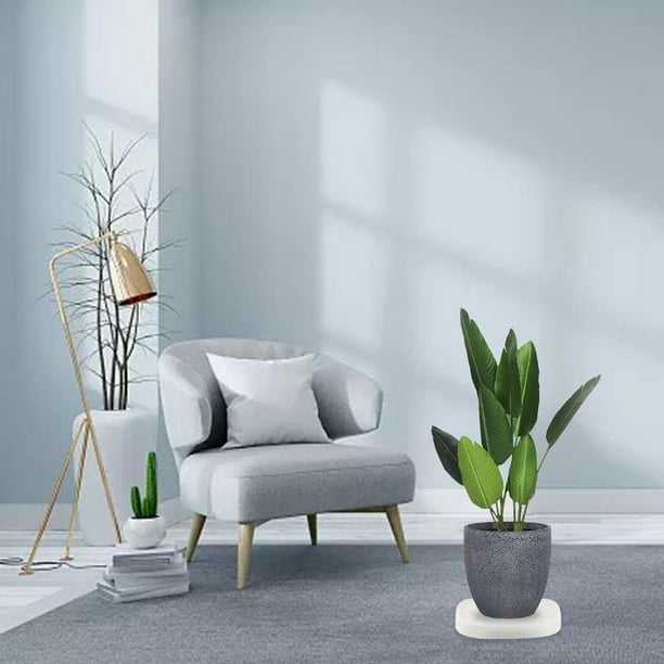 Pallet con ruedas capacidad de carga con ruedas Ruedas giratorias móvil de ptillo Jardinera móvil - Wheels l Macarena Paleta móvil