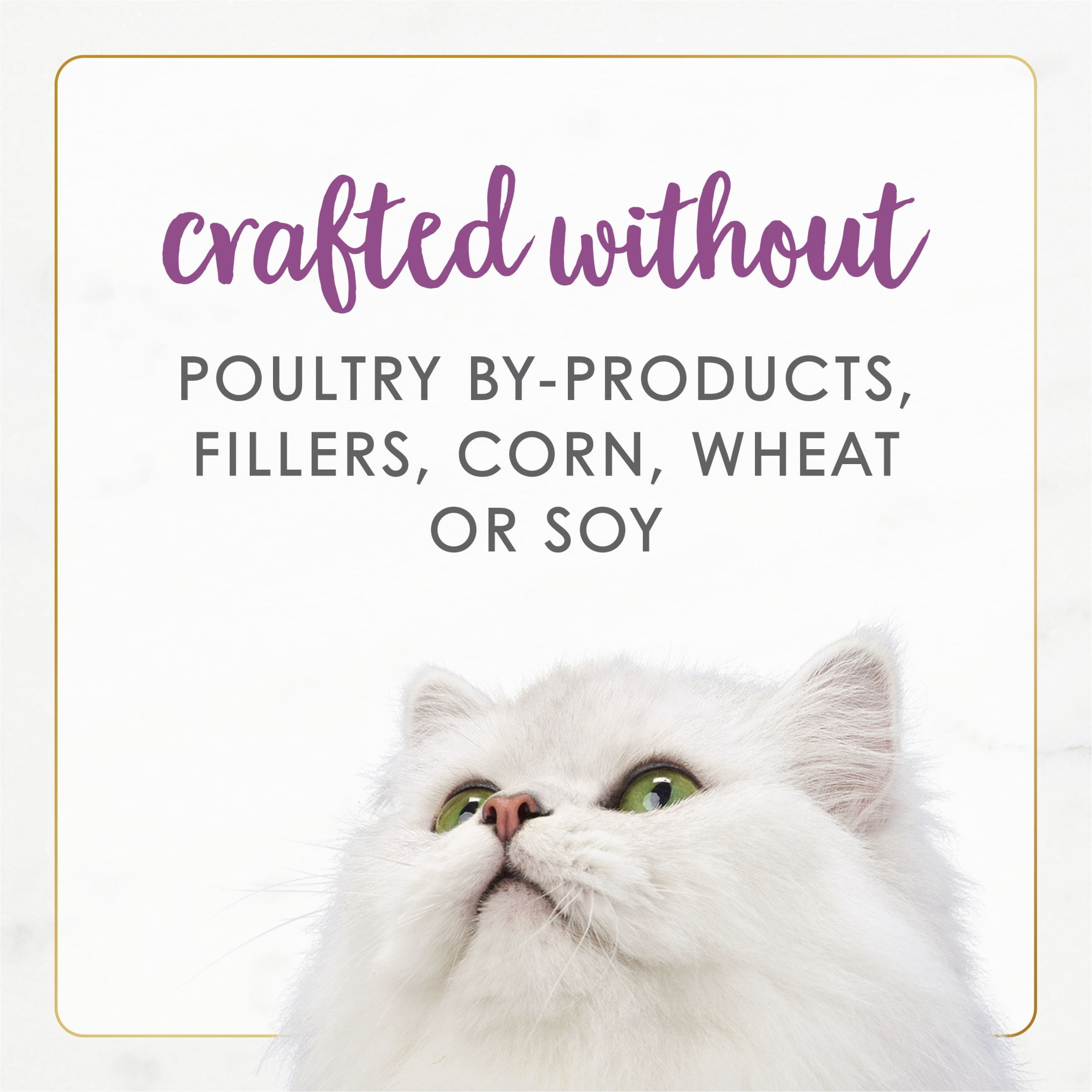 Purina Fancy Feast Gourmet Naturals Kitten Food, Wet Cat Food, Beef Pate, 3 oz Cans, 12 Pack