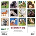 thumbnail image 2 of Why Horses Do That 2026 12 X 12 Wall Calendar, (Hardcover), 2 of 5