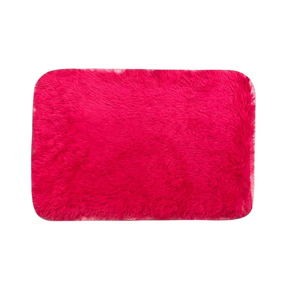 Lilixerw 15.7 x 23.6 inch Soft Fluffy Area Rug,Faux Fur Area Rug for Bathroom Bedroom Floor Living Room