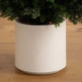 thumbnail image 7 of Nearly Natural 6ft. UV Resistant Artificial Cedar Tree in Decorative White Planter (Indoor/Outdoor), 7 of 7