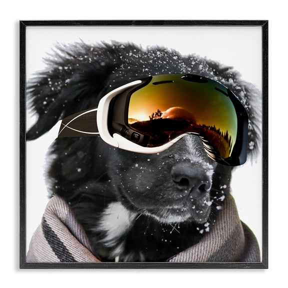 Stupell Industries Eclectic Snowboarder Dog with Goggles Black Framed Giclee Art, 12 x 12, by SD Graphics Studio