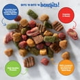 Kibbles 'N Bits Small Breed, Mini Bits, Savory Beef and Chicken Flavor