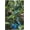 500 PCS, variant on 500 Piece Gecko by The Lake Green Forest Background Puzzle – DIY Craft, Challenging Family Activity, Relaxing Brain Puzzle, Home Wall Decoration Gift