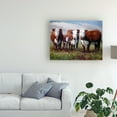 thumbnail image 3 of Trademark Fine Art 'Home on the Range' Canvas Art by Carolyne Hawley, 3 of 3