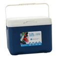 thumbnail image 3 of Caja refrigeradora aislada, hielera, refrigerador con asa, caja refrigeradora para preservación del frío/calor para chupar rueda, camping comercial, a azul, 3 of 8