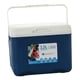 thumbnail image 3 of Caja refrigeradora aislada portátil shamjiam congelador de pecho de hielo azul 12 litros, 3 of 8