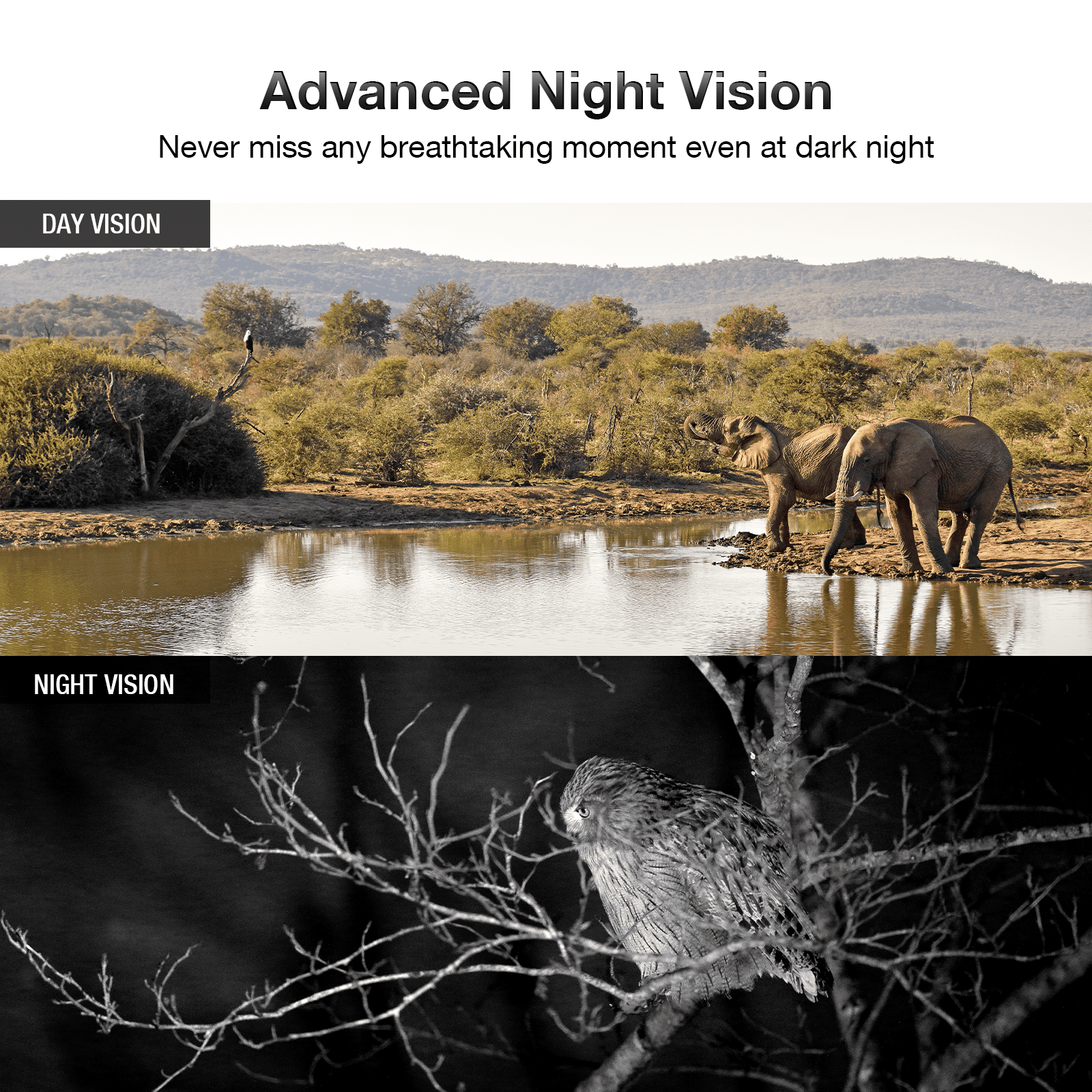 CAMPARK Native 4K 30fps WiFi Trail Camera 32MP Bluetooth Game Hunting Camera with 65FT Infrared Night Vision Motion Activated Waterproof 120° Wide Angle Wildlife Monitoring 2.4" LCD Deer Trail Cam