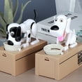 thumbnail image 2 of Cute Cartoon Dog Piggy Bank Smart Puppy Cat Box Piggy Bank, 2 of 6