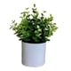 thumbnail image 5 of Bearachild 4 paquetes/lote fácil de limpiar planta falsa solución de bajo mantenimiento para plantas artificiales de interior bonsái de hojas Type1 NO1, 5 of 6
