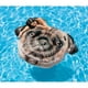 thumbnail image 2 of Flotador Inflable Intex Pug, 2 of 2