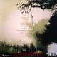 thumbnail image 2 of Caifanes El Silencio LP Vinyl 09 Canciones, 2 of 2