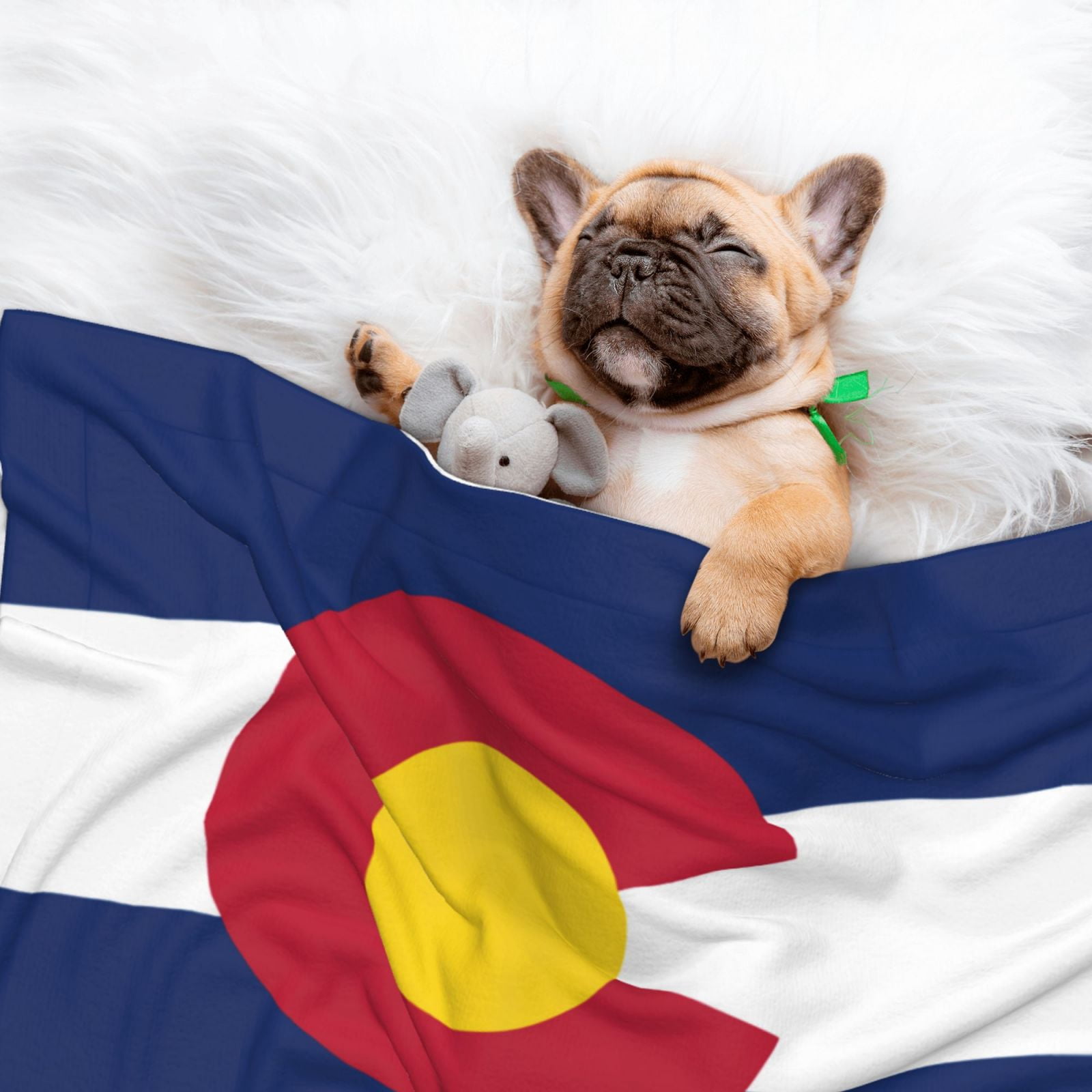 Flannel Throw Dog Blanket Flag Of Colorado Soft Warm Print Pet Blankets for Small Dog Cat Puppy