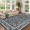 Blue, variant on Assaile Luxury Bohemian Black 5'x7' Area Rugs with Exotic Floral Stripes, Soft Low Pile Non Slip Living Room Carpet, Machine Washable