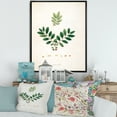 thumbnail image 2 of Designart 'Ancient Plant Life XIV' Farmhouse Framed Canvas Wall Art Print, 2 of 5