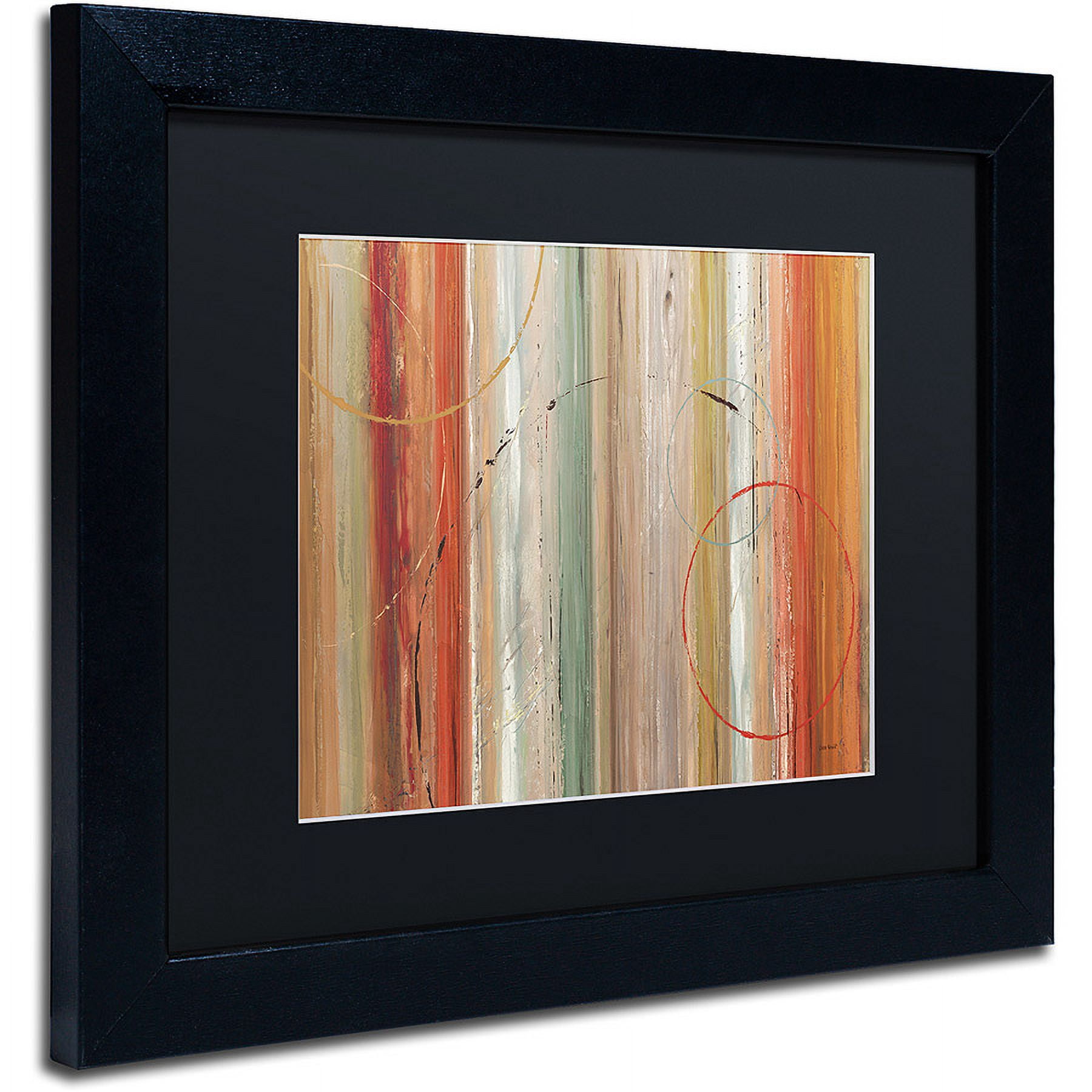 Trademark Fine Art "Spiced II" Canvas Art by Lisa Audit, Black Matte, Black Frame