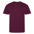 thumbnail image 1 of Awdis T-Shirt Homme Cascade Ecologie Biologique, 1 of 2