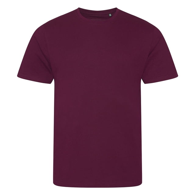 Awdis T-Shirt Homme Cascade Ecologie Biologique