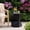 Black, variant on VENTOPYR 17.9" Polygonal Magnesium Oxide Side Table, Unique Geometric Accent End Table for Living Room, Bedroom, Patio, Black