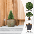 thumbnail image 4 of Poetree 29.5'' Artificial Cedar Topiary Cone Tree 2-Pack Faux Shrub Bush Trees for Decor, 4 of 6