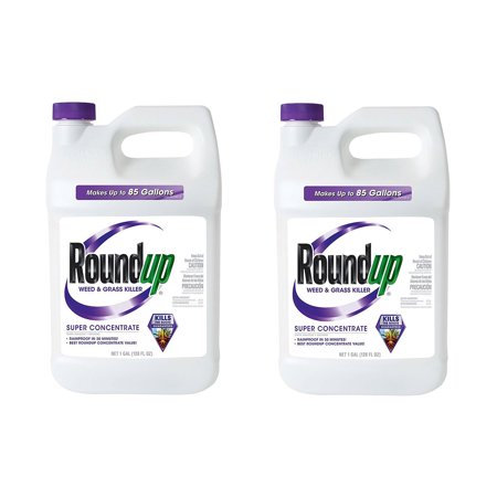 Roundup Fast Garden Weed and Grass Killer Super Concentrate, 1 Gallon (2 Pack)