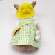 thumbnail image 3 of Conjunto para mascota conejo, hurone , chaleco, disfraz, ropa , verano, , boda, d Colco Arnés para vestido de conejo, 3 of 7