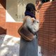 thumbnail image 5 of Bolso de hombro para mujer 2023 Nuevo Otoño Invierno Felpa Gran capacidad Bolsos para niñas Diseñador de lujo Monederos de axila premium para mujer, 5 of 5