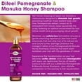 thumbnail image 3 of Difeel Pomegranate  Manuka Honey Sulfate-Free Shampoo - Choose Size, 3 of 4