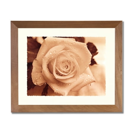 - Rose In Rain B/W Photo Flower Contemporary Wall Picture Honey Framed Art Print