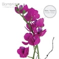 thumbnail image 2 of Bornbridge Artificial Potted Orchid with Long Stem (2 Pack, Violet - Medium), 2 of 5