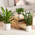 thumbnail image 5 of Plant Pot Set Matte White Ceramic Planter for Indoor Outdoor Plants Flowers Small 6 inch Medium 8 inch Large 10 Inch Modern Cylinder Flower Pot with Drainage Hole and Plug,Full Glazed Finish, 5 of 6