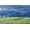 Unframed, variant on Art.com Wheatfield under Thunderclouds, 1890 Giclee Print by Vincent van Gogh, 24" x 16"
