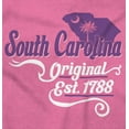 thumbnail image 2 of South Carolina Palmetto State Shape Women's Graphic T Shirt Tees Brisco Brands S, 2 of 6