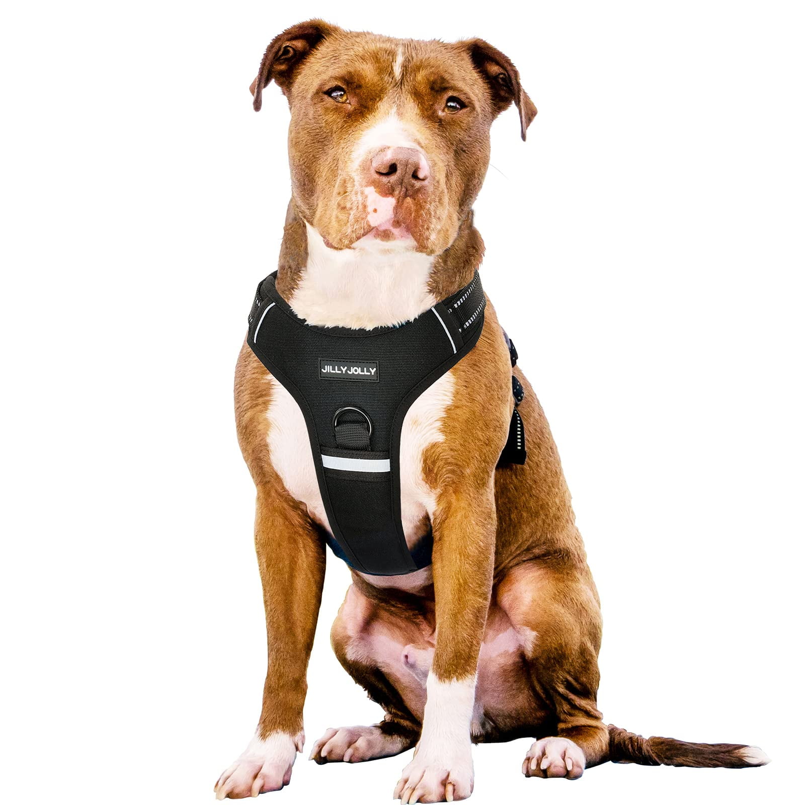 JILLY JOLLY Dog Harness, No Pull Adjustable Soft Padded Dog Vest