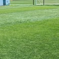thumbnail image 6 of GrowTrax 50-ft. x 2-ft. Full Sun, Bermuda Rye Mixture Grass Seed, 6 of 8