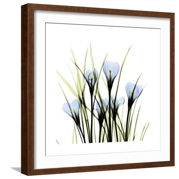 Art.com Crocus Square Art Print by Albert Koetsier, Brown Frame Wall Art, 21" x 21"