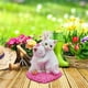 thumbnail image 2 of Bonita figurita de gato de resina, 6-9 cm, mini adorno decorativo para macetas, microjardinería, decoración de coches y escritorios, 2 of 3