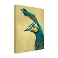 thumbnail image 3 of Trademark Fine Art Katie O'Shea Peacock Profile I Canvas Wall Art, 3 of 4