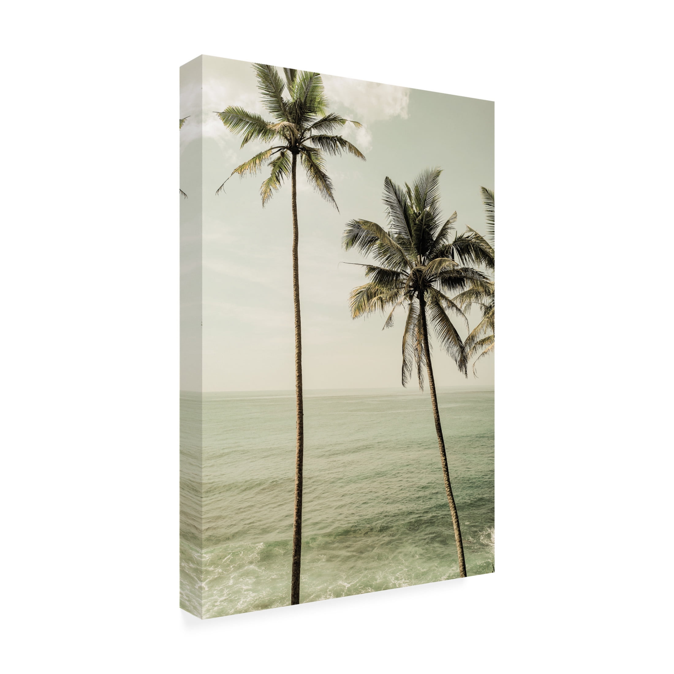 Trademark Fine Art Shot by Clint Sea Breeze Canvas Wall Art