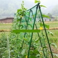 thumbnail image 6 of Plant Climbing Net for Vegetables & Flowers | Support for Cucumbers, Tomatoes, Peas | Space-Saving Garden Trellis | 0.9m x 1.8m to 1.8m x 3.6m Sizes | Reusable & Easy Installation, 6 of 8