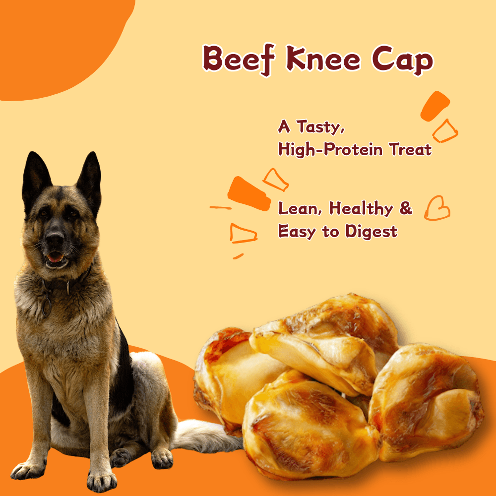 TenderTouch All-Natural, Slow-Roasted Beef Knee Bones, Dental Chews for Dogs, 6 Count Bag