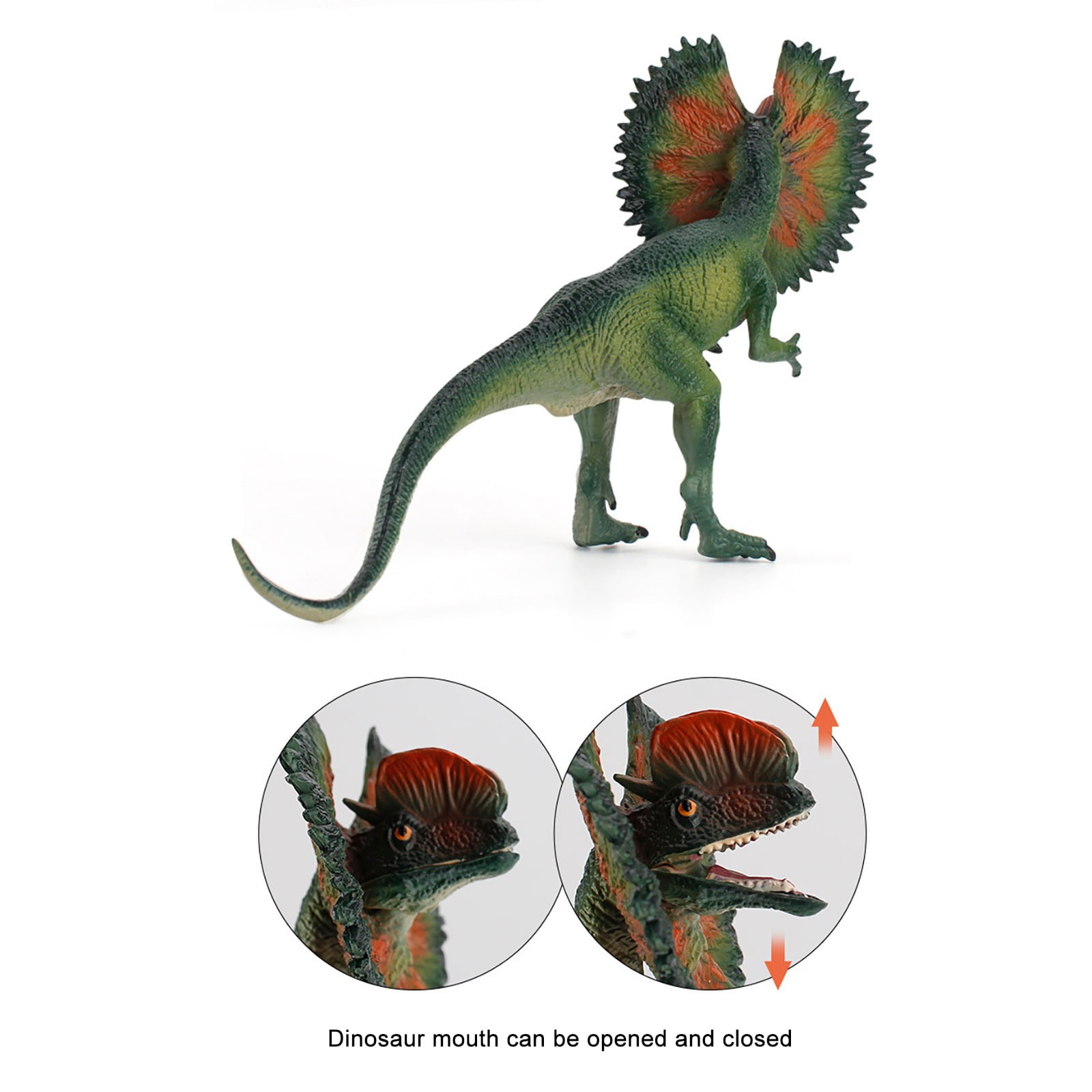 CieKen Realistic Dinosaur Model Lifelike Dilophosaurus Dinosaurs Figure  Playset Gift 