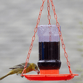 thumbnail image 3 of Perky Pet 253 32 oz Oriole Jelly Feeder, 3 of 5