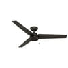 Hunter Cassius 52" Indoor and Outdoor Ceiling Fan w/ Pull Chain, Bronze