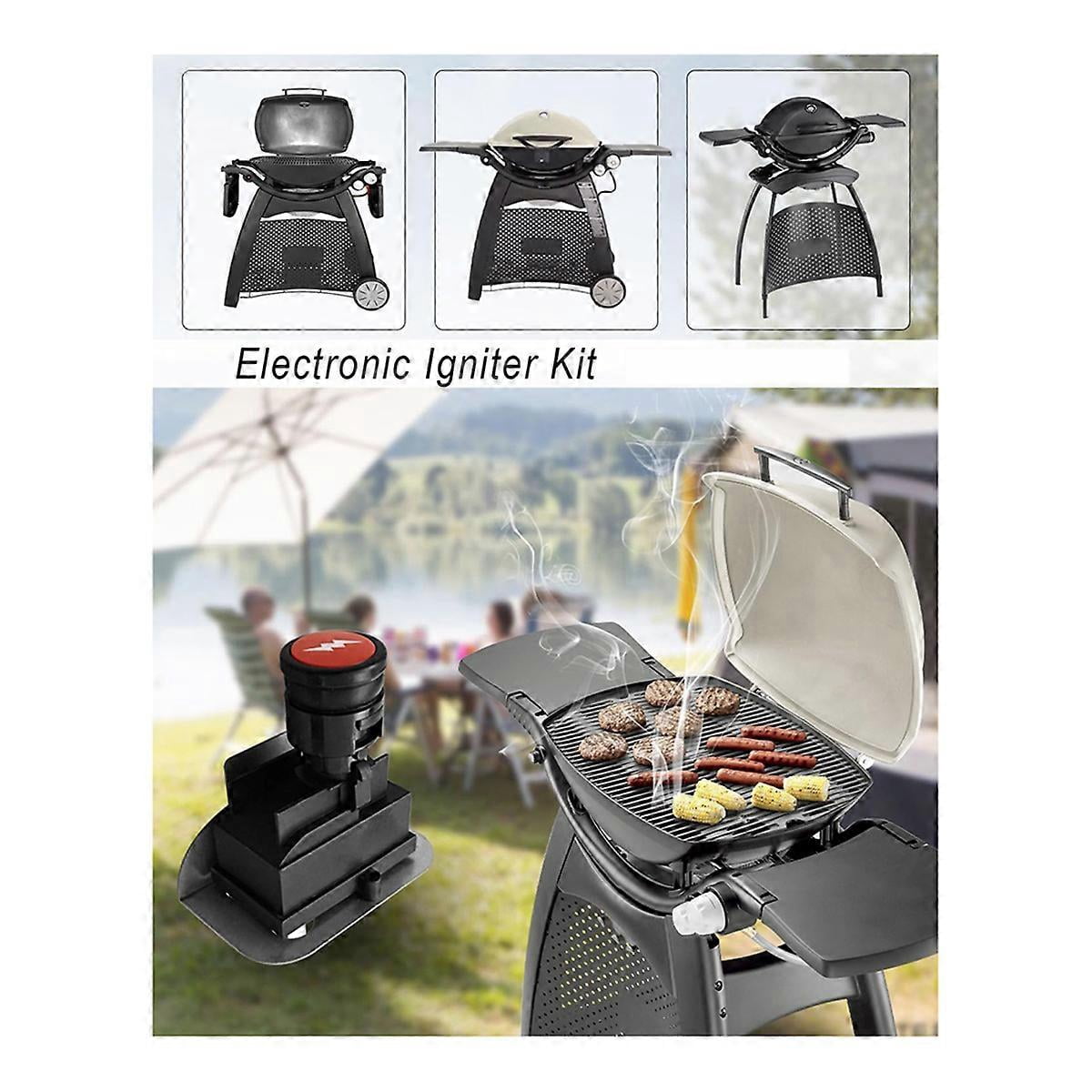 63788 Igniter Kit For Weber Q320 2008 & Q3200 2014 Series Gas Grills