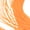 Orange, variant on Xirurus Premium Nylon Floating Fly Fishing Line with Welded Loop, Counterweight Fish Tackle Accessory for Anglers, 0.026 inches / 0.06 cm Thickness, 100 ft / 30.4 m Length, Lemon Green Color Variant