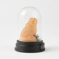 thumbnail image 3 of Enesco Wizarding World of Harry Potter Crookshanks Cloche Figurine 3.8in H, 3 of 7