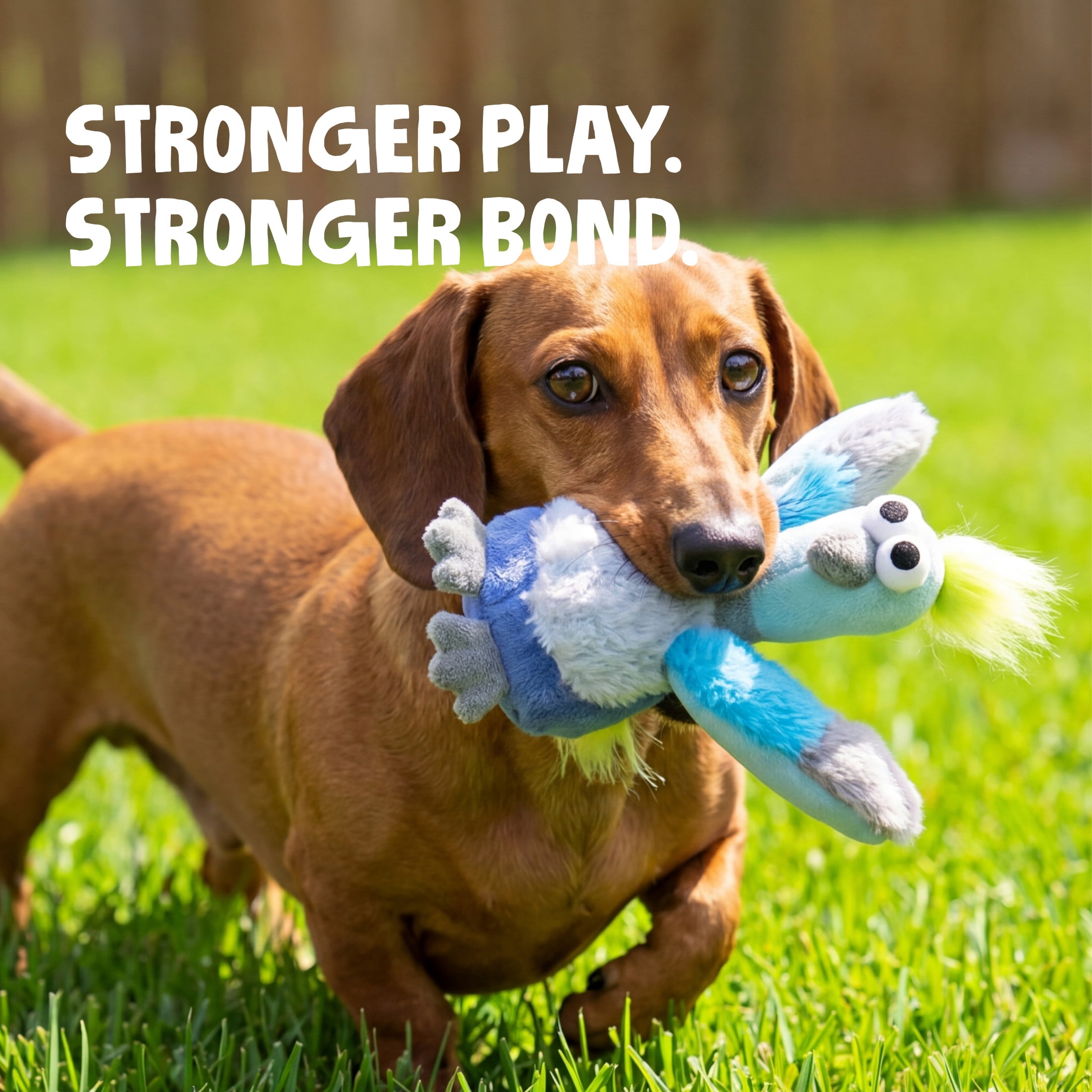 goDog Urban Wildlife Penny Pigeon Squeaky Dog Toy, Plush with Chew Guard Technology, Small