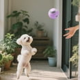 thumbnail image 4 of KMWGRE Smart Jumping Glowing Vibrating USB Charging Dog Interactive Mobile Pet Toy For Puppies Purple One Size, 4 of 6