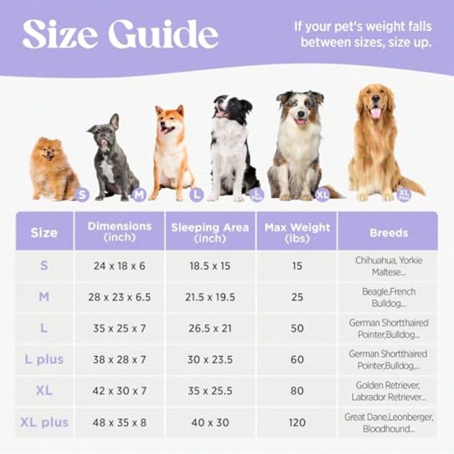 Cute Dog Bed Medium Size Dog Orthopedic Waterproof Medium Pet Beds with Sides High Back NonSlip Bottom and EggCrate Foam Pet Couch Sofa with Washable Removable Cover Grey
